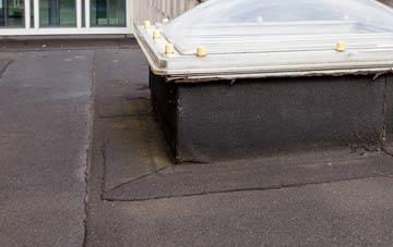 disadvantages of Frost flat roofs